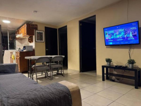 Departamento Excelente Ubicación Comercial